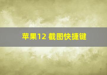 苹果12 截图快捷键